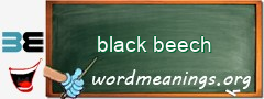 WordMeaning blackboard for black beech